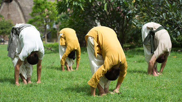 Neem beneficii pentru practica yoga