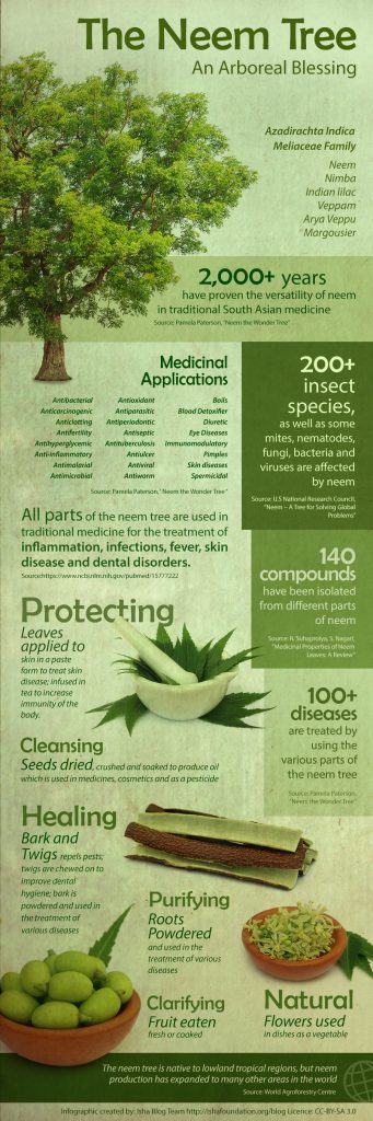 benefits-uses-of-neem-the-wonder-leaf-Neem-Infographic